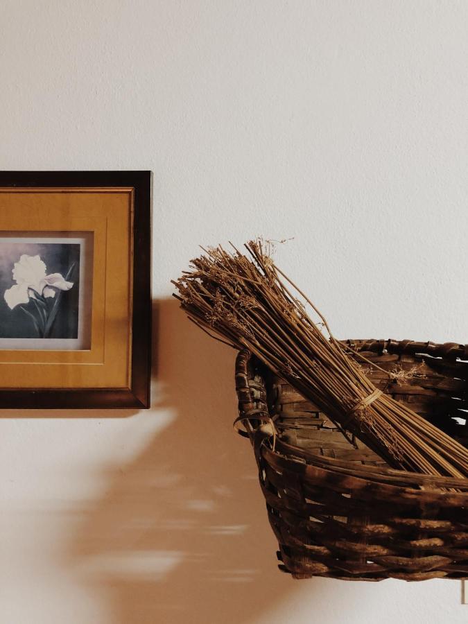 בית הארחה Alijó 	Casa Do Douro מראה חיצוני תמונה