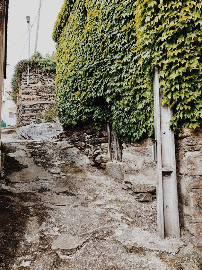 בית הארחה Alijó 	Casa Do Douro מראה חיצוני תמונה